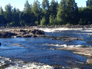 Fänforsen i lågvatten